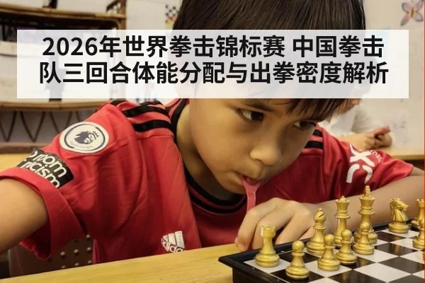 2026年世界拳击锦标赛 中国拳击队三回合体能分配与出拳密度解析